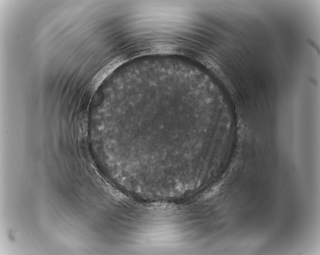 X0000102041081200808151401