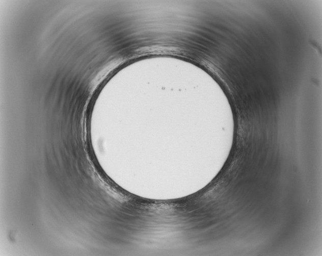X0000102041082200808151401