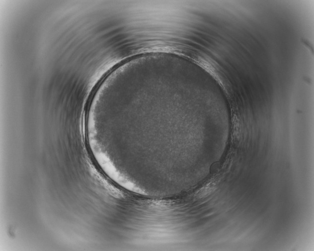 X0000102041084200808151401