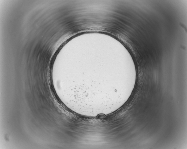 X0000102041085200808151401