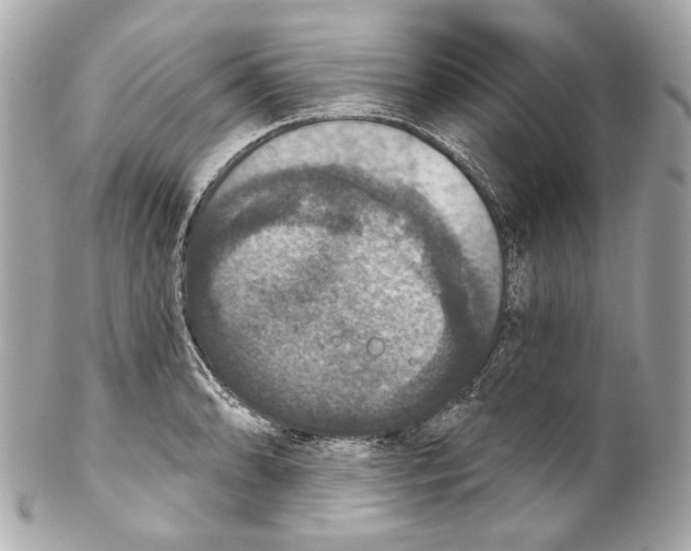 X0000102041086200808151401