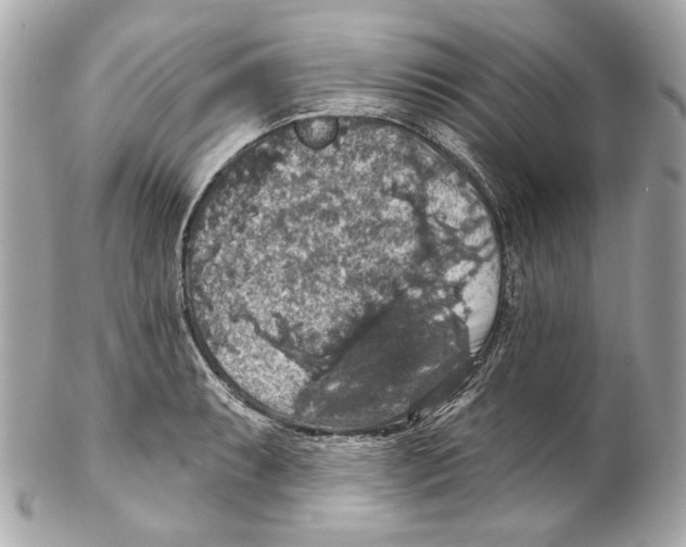 X0000102041087200808151401
