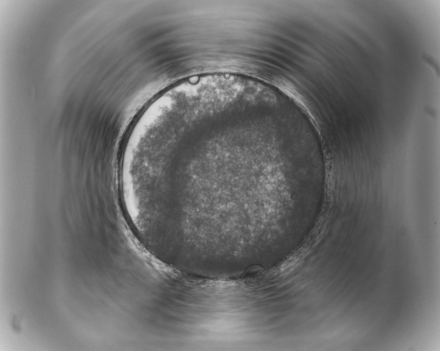 X0000102041088200808151401