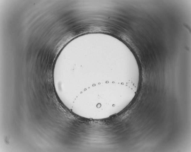 X0000102041089200808151401