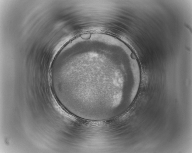 X0000102041090200808151401
