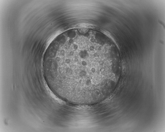 X0000102041091200808151401