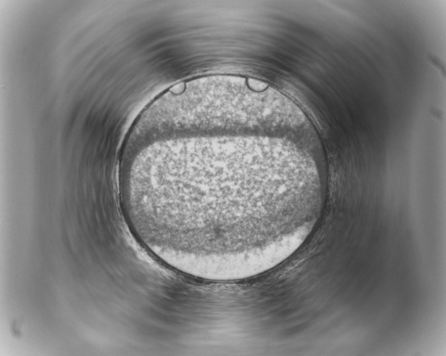 X0000102041092200808151401