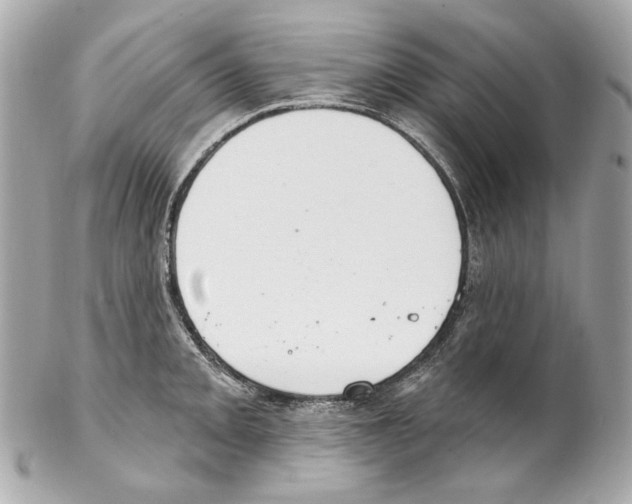 X0000102041093200808151401