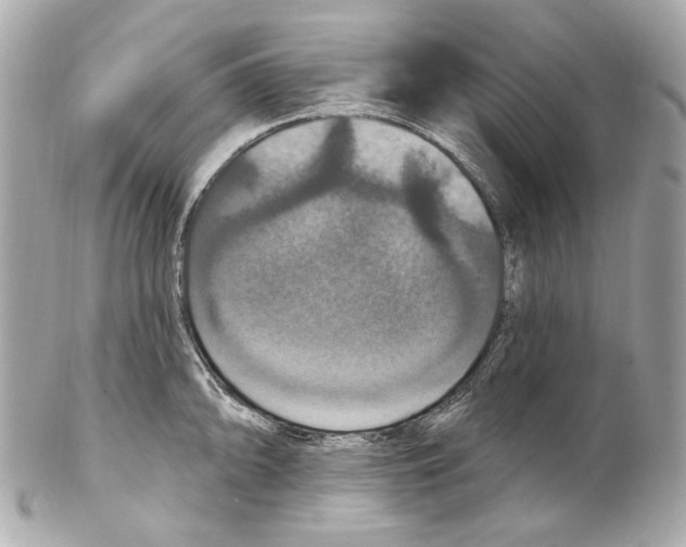 X0000102041094200808151401