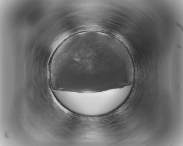 X0000102041095200808151401