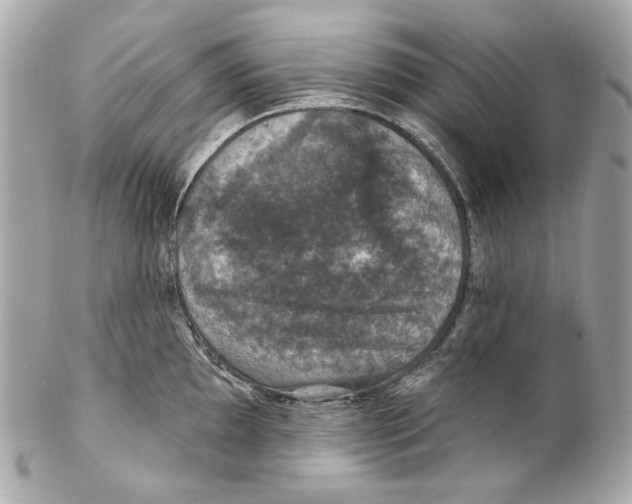 X0000102041097200808151401
