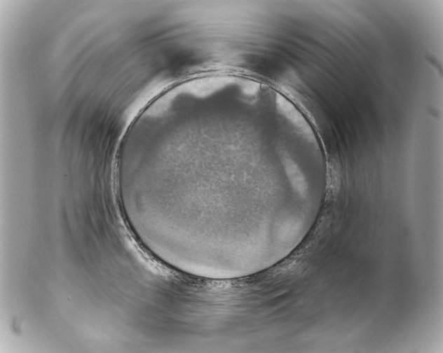 X0000102041098200808151401