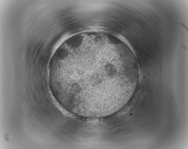 X0000102041099200808151401