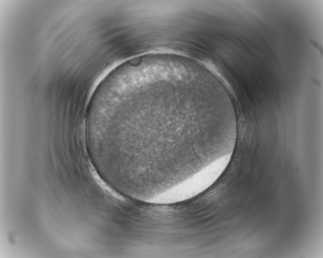 X0000102041100200808151401