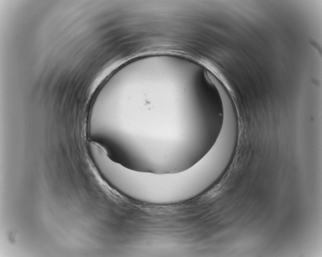 X0000102041101200808151401