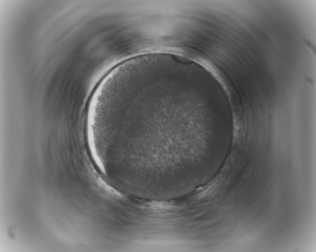 X0000102041102200808151401