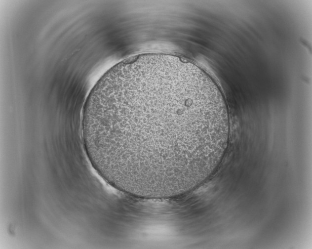 X0000102041103200808151401