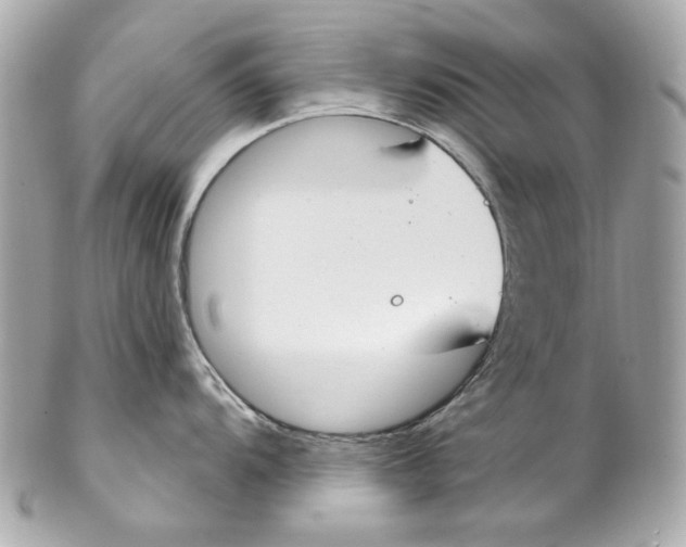 X0000102041104200808151401