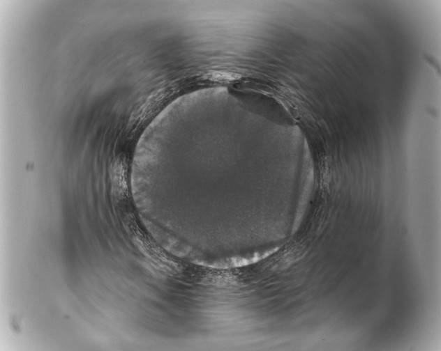 X0000102041106200808151400