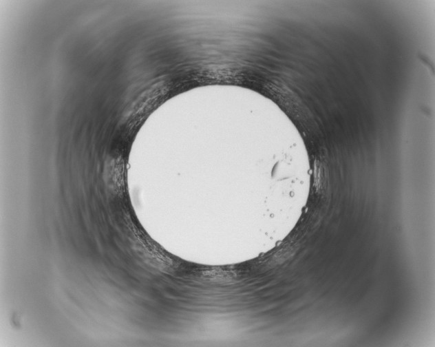 X0000102041107200808151400