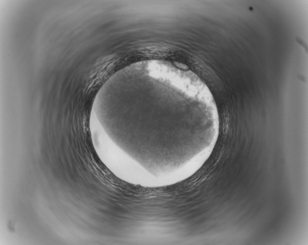 X0000102041108200808151400