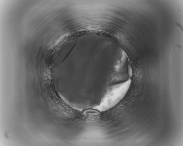 X0000102041110200808151400