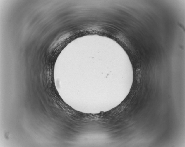 X0000102041111200808151400