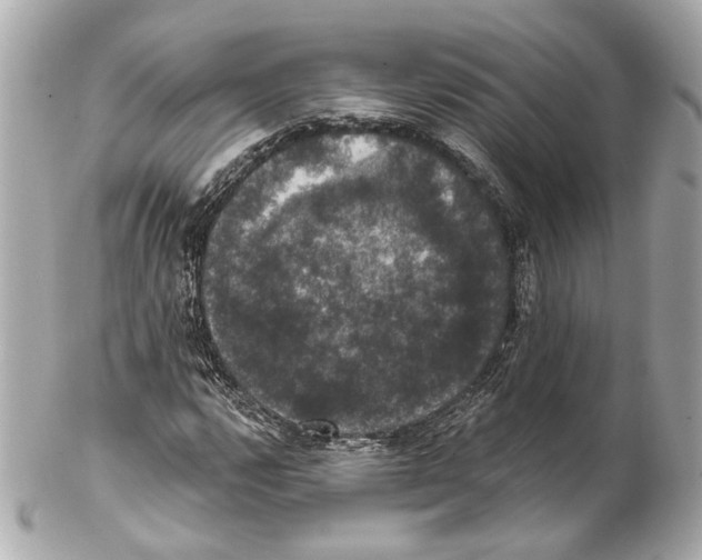 X0000102041112200808151400