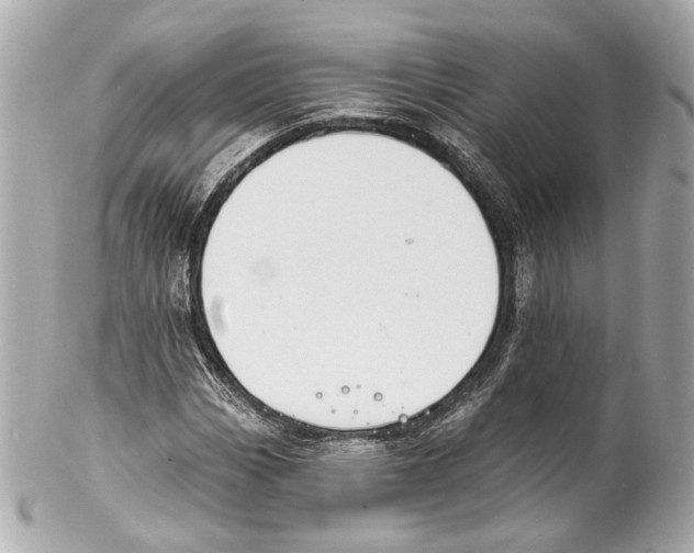 X0000102041113200808151400