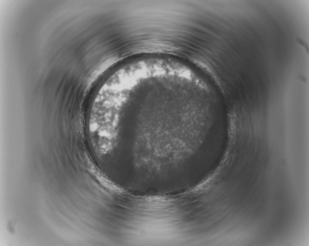 X0000102041114200808151400