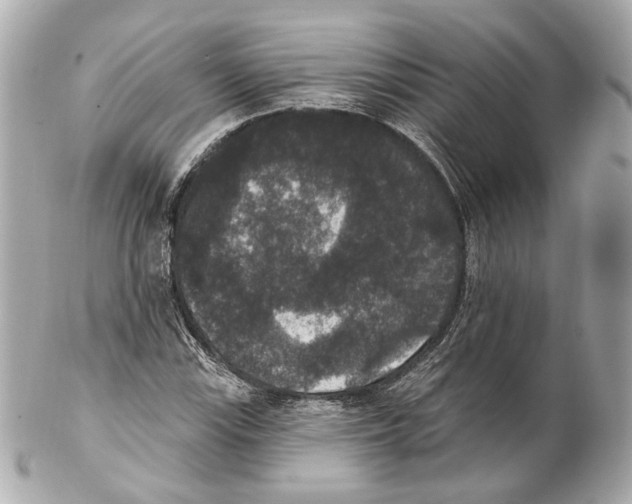 X0000102041115200808151400