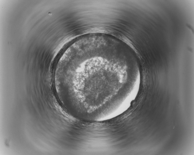 X0000102041116200808151400