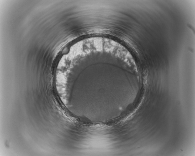 X0000102041117200808151400