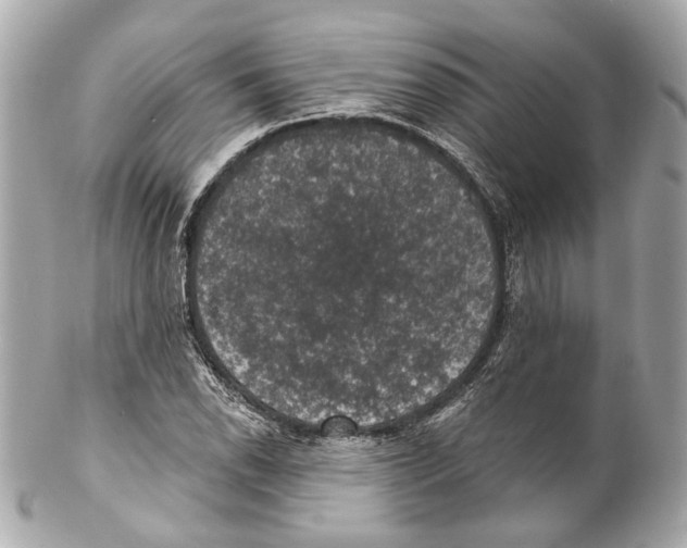 X0000102041118200808151400