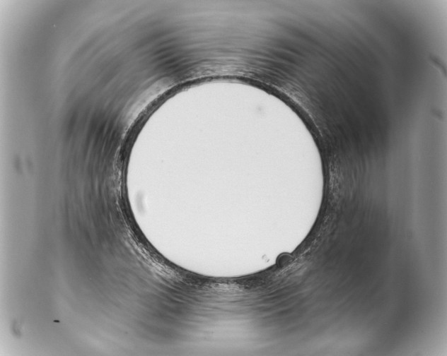 X0000102041119200808151400