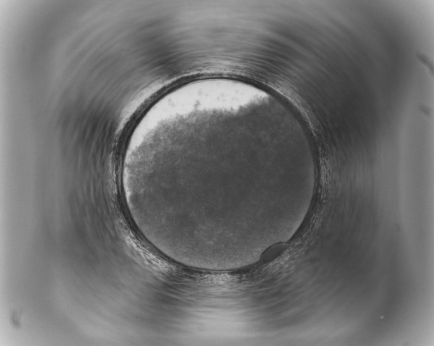 X0000102041120200808151400