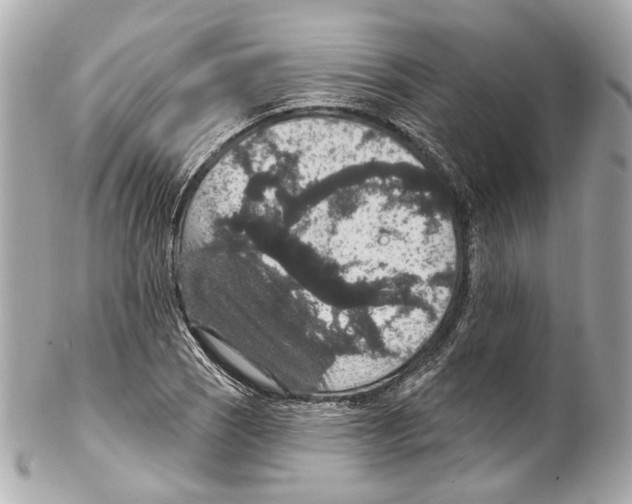 X0000102041121200808151400