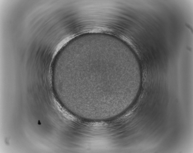 X0000102041122200808151400