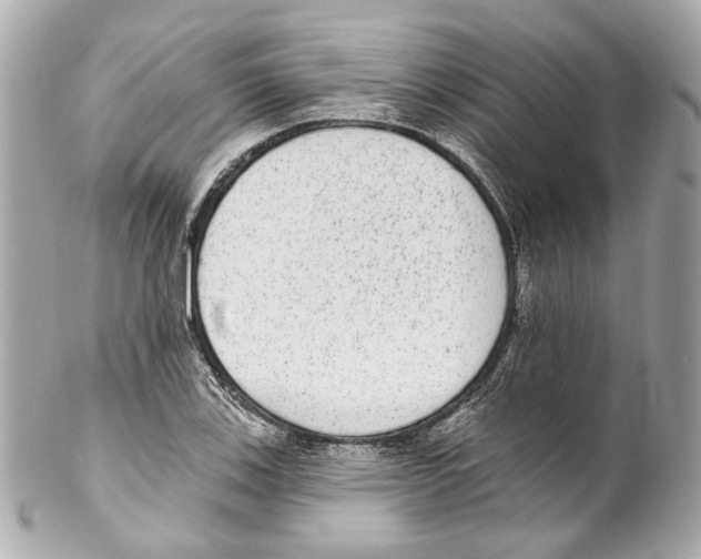 X0000102041123200808151400