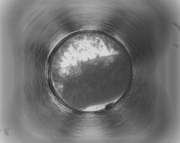 X0000102041124200808151400