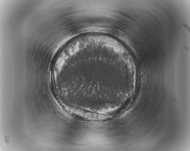 X0000102041125200808151400