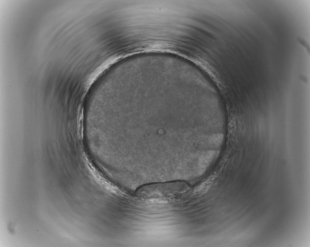 X0000102041126200808151400