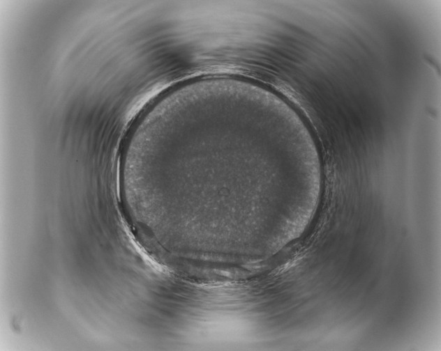X0000102041127200808151400