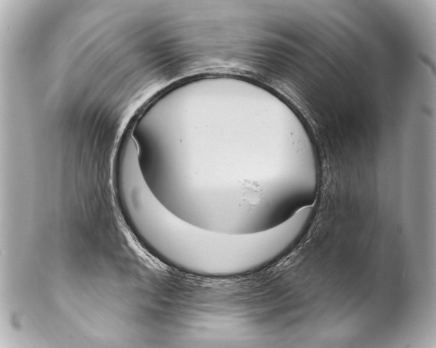 X0000102041128200808151400