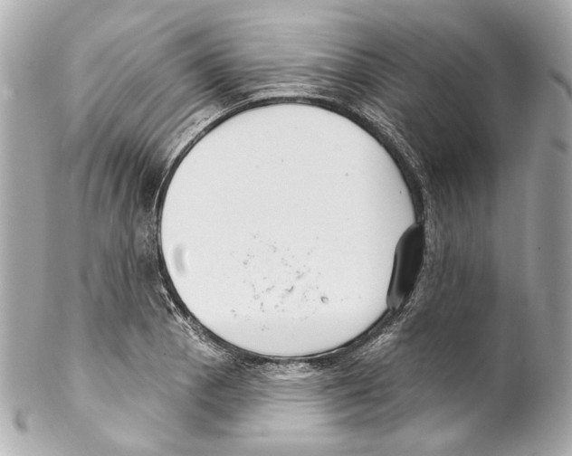 X0000102041129200808151400