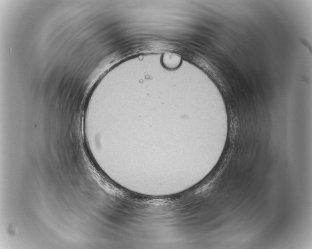 X0000102041130200808151400