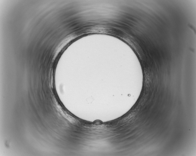 X0000102041131200808151400