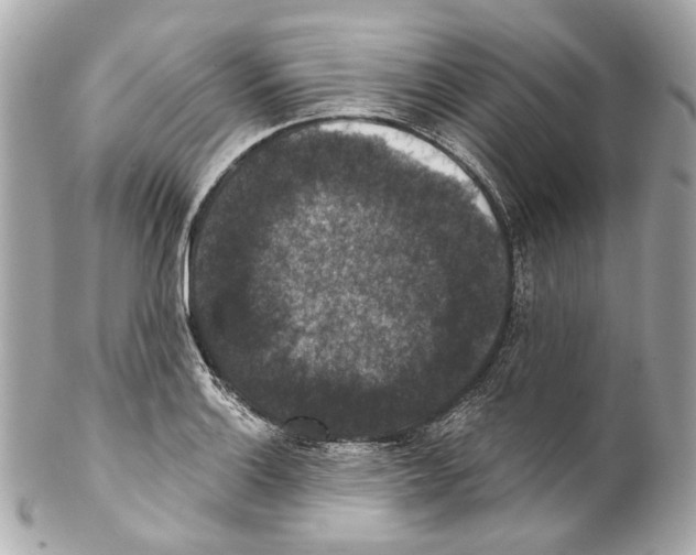 X0000102041132200808151400