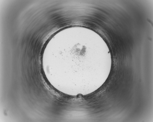 X0000102041133200808151400
