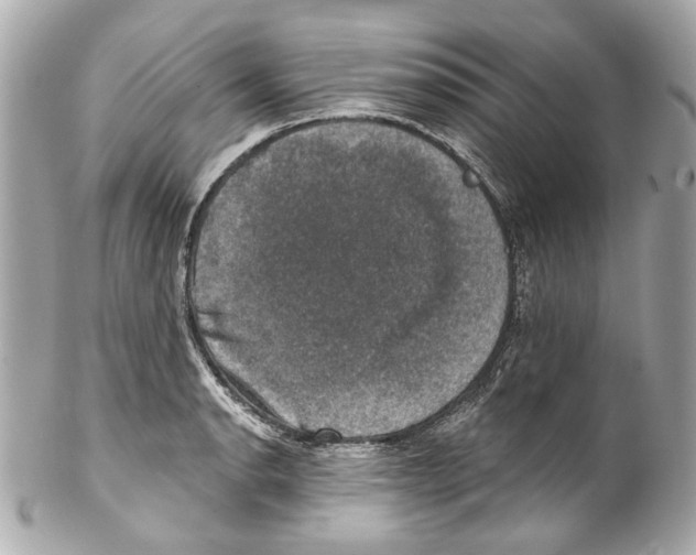 X0000102041134200808151400